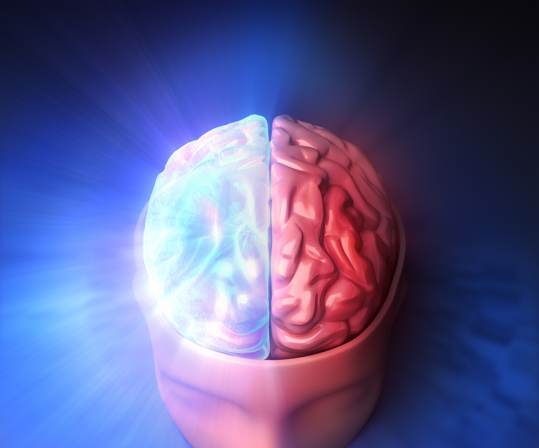 Brain